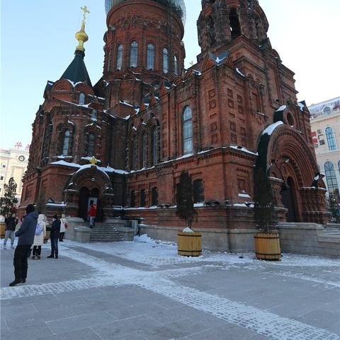 哈尔滨市有多少旅游公司