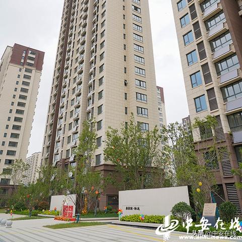 合肥市新站属于哪个区