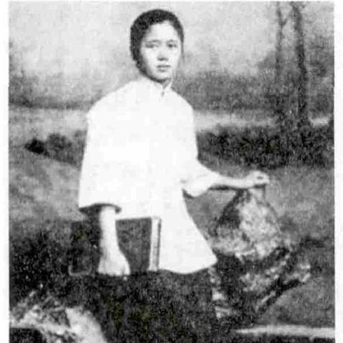 哈尔滨龙井街新闻相关长尾关键词有哪些