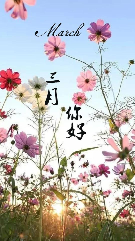 三月你好！高清创意图片壁纸，朋友圈春意唯美祝福带字文案图集