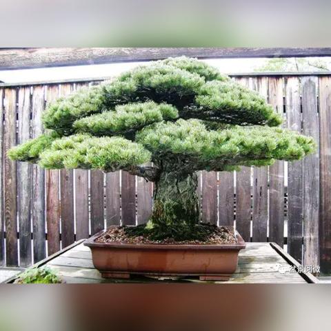 广州月牙顶相关长尾关键词有哪些