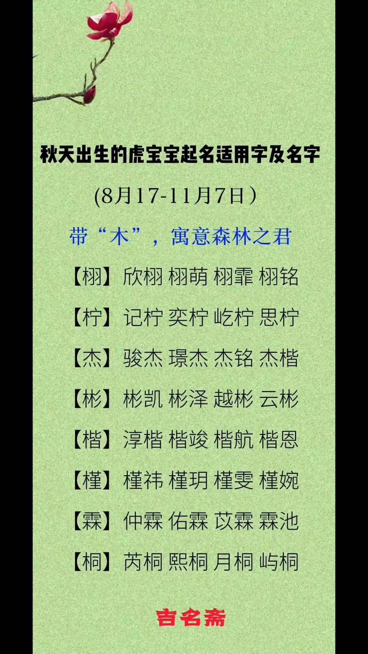 虎宝宝起名用什么字（锦岳名字的含义）