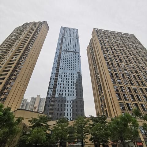 广东佛山市最厉害的武术馆是的长尾关键词有什么