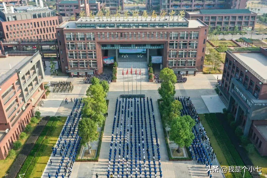 2025年国内大学排行榜深度解读:谁将成为明日之星?