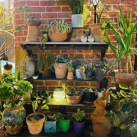 宁波天一diy衣服的相关长尾关键词有哪些