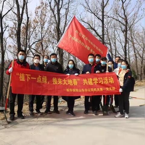 东莞市大地保险怎么样