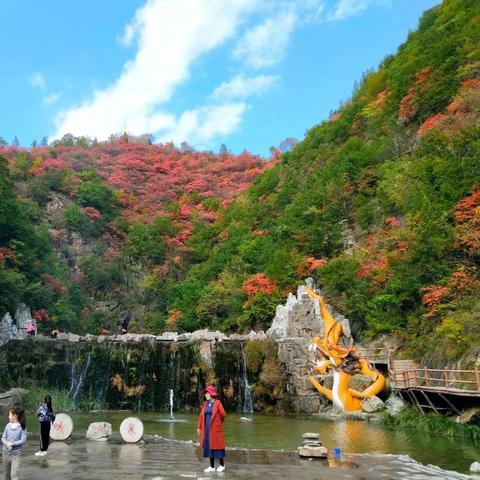河南60岁免票景区名单？