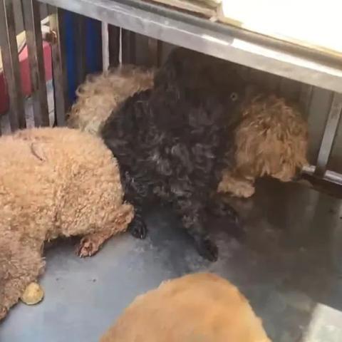 上海赚钱的行业有哪些