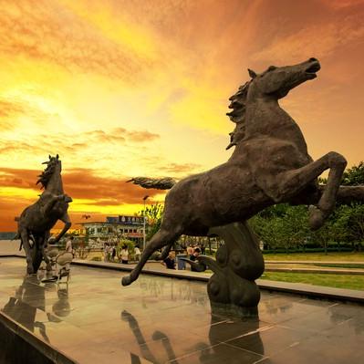 生肖马7月1日运势(7月2日属马运势)