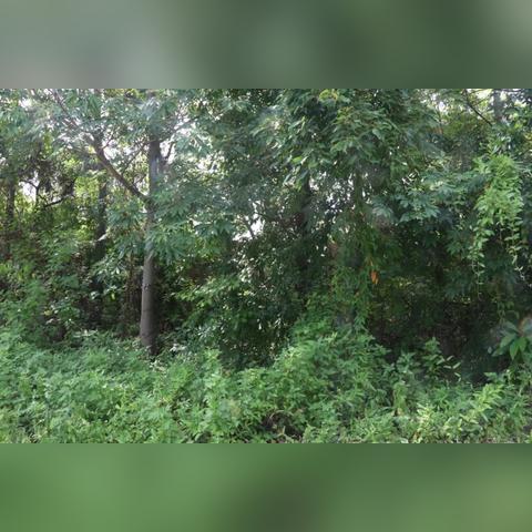 中山市各镇区邮政编码是多少？