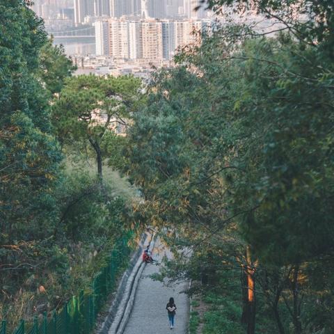 南宁大沙田公平街的相关长尾关键词有哪些