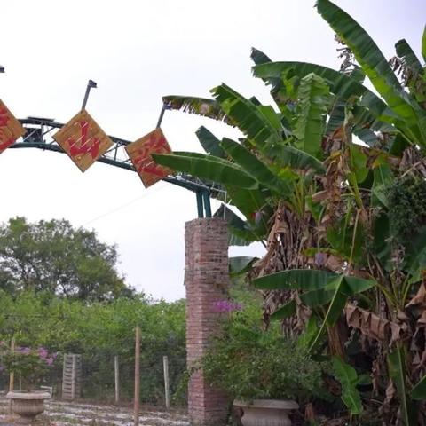 桂林市卖草莓花的店有哪些