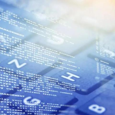 2025.11.13宁波今日最新新闻有哪些