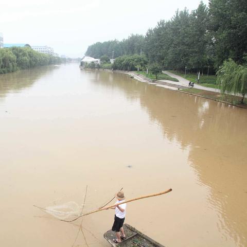 六月初八是什么星座的2001