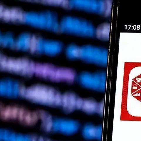 跨境服务美元申报怎么填