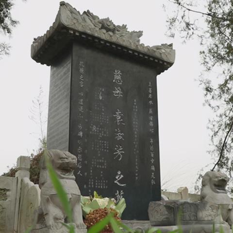 河南的流感衣形怎么样