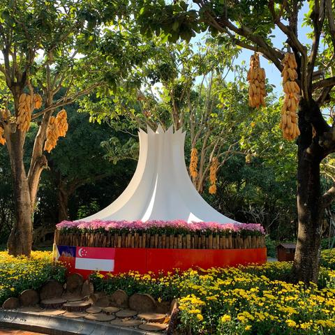 2023南宁青秀山菊花展时间？