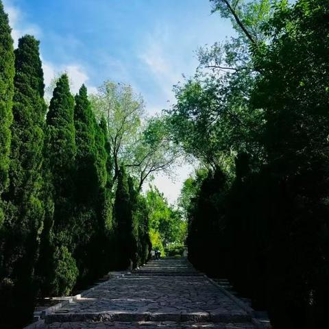 石家庄市哪里有