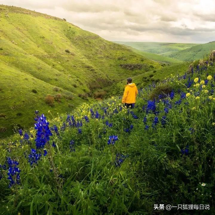 INS、照片墙、‎Instagram、IG号购买保障揭秘：让你的购买之旅更加无忧！