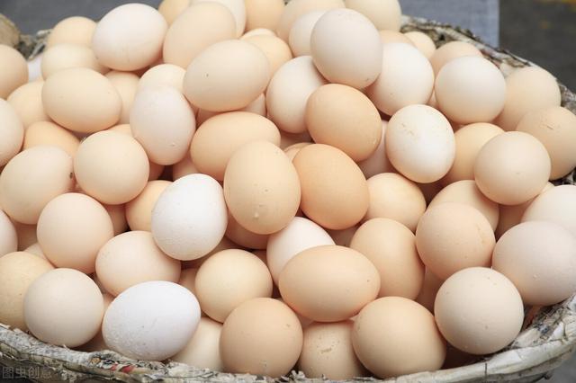 土鸡蛋真的比普通鸡蛋更有营养吗