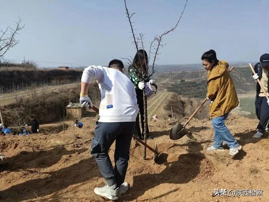 陕西挖坑
 /陕西挖坑手机版