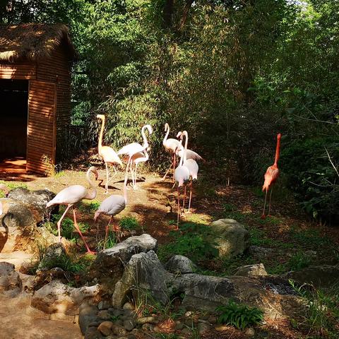 昆明市联盟街道圆通速递的长尾关键词有什么