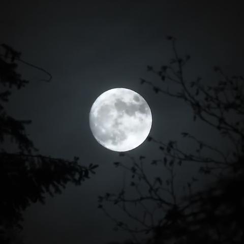 天津蓝月亮怎么样