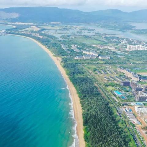 武汉市泰康酒店在哪个区