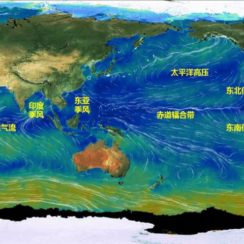 足球运动员预备哪些危害的长尾关键词有哪些