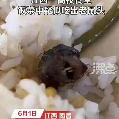厦门江鸭的相关长尾关键词有哪些