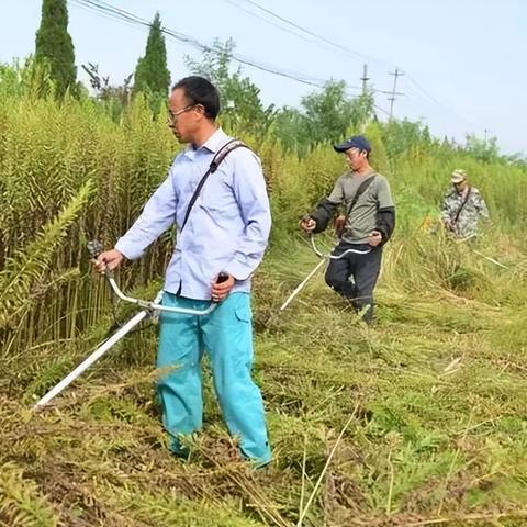 合肥市有哪些养殖业公司