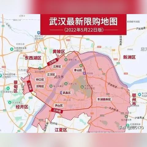 武汉市哪个区在发展