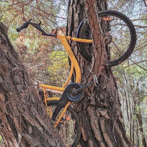 南宁市枫米公司怎么样