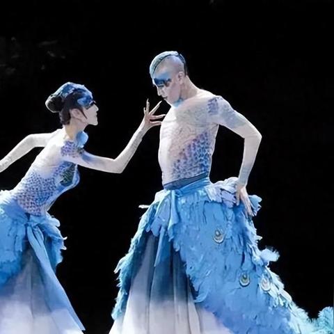 杨丽萍舞蹈视频.孔雀舞杨丽萍舞蹈视频？