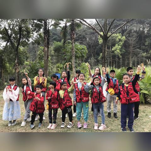 南宁市樱花大道是哪个区