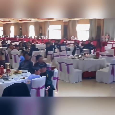 哈尔滨市哪里卖鸽子