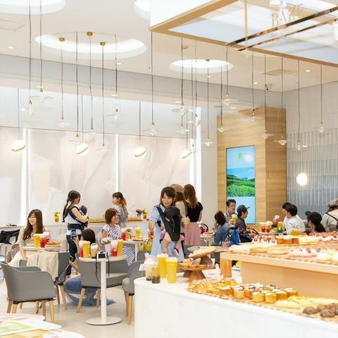 上海的奶粉有哪些品牌