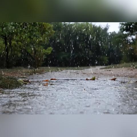 十二月九日是什么天气