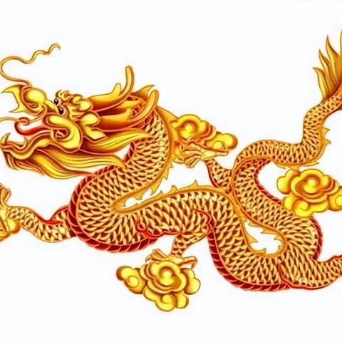 如何看生肖鸡的运势(属鸡怎么看)