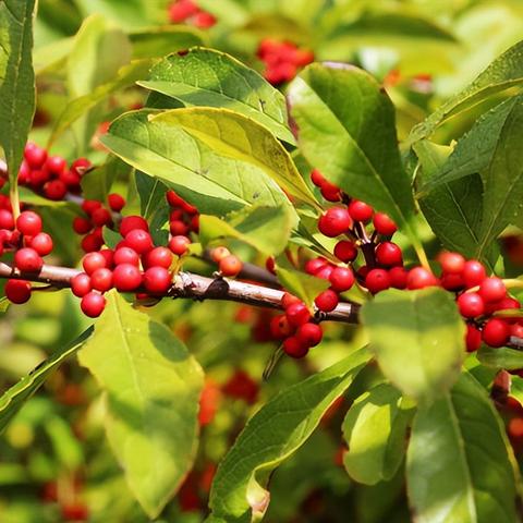 济南太平山相关长尾关键词有哪些