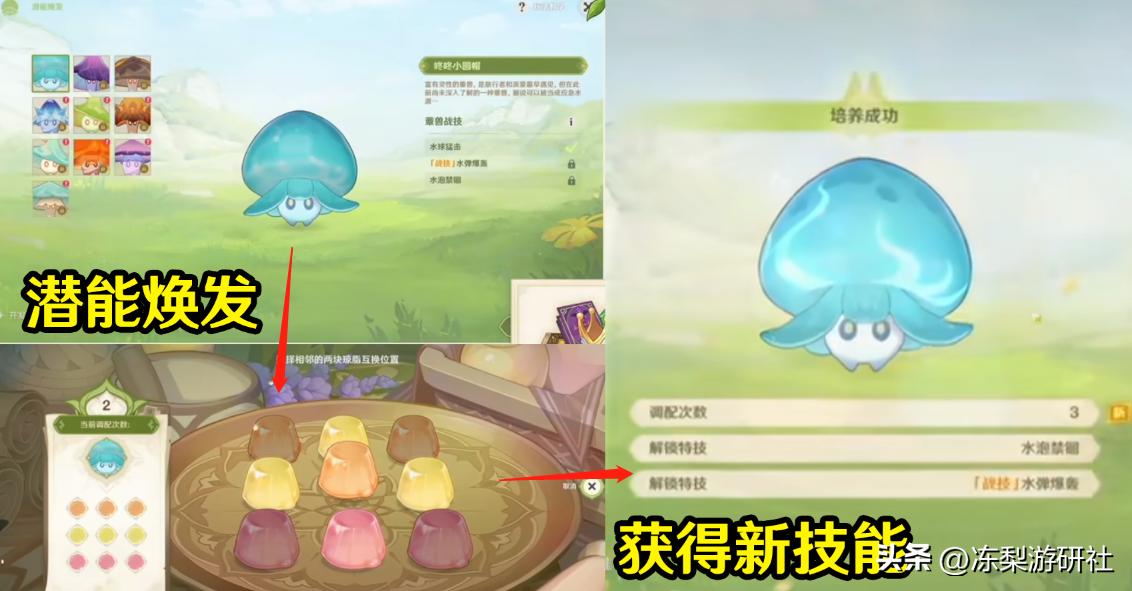 原神角色怎么带宠物（原神挂件宠物怎么获得最新）