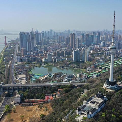 武汉市什么工业多