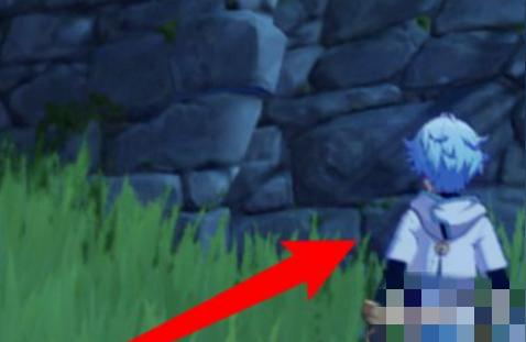 原神曚云神社石柱怎么开（原神珊瑚宫八个地点宝藏）