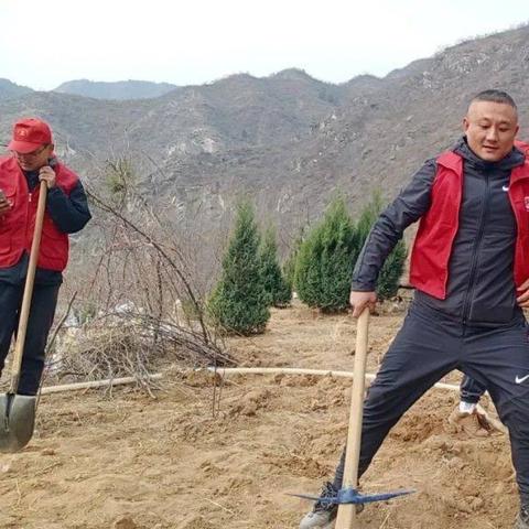 粟子石家庄市哪里有卖