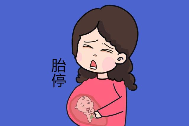 胎停后应该如何查明原因