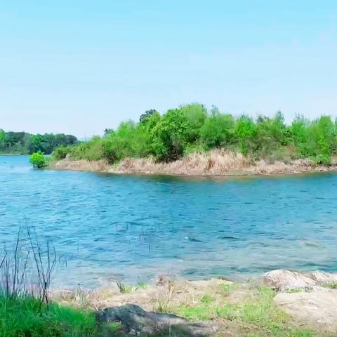 武汉有陈家湾地铁站没？