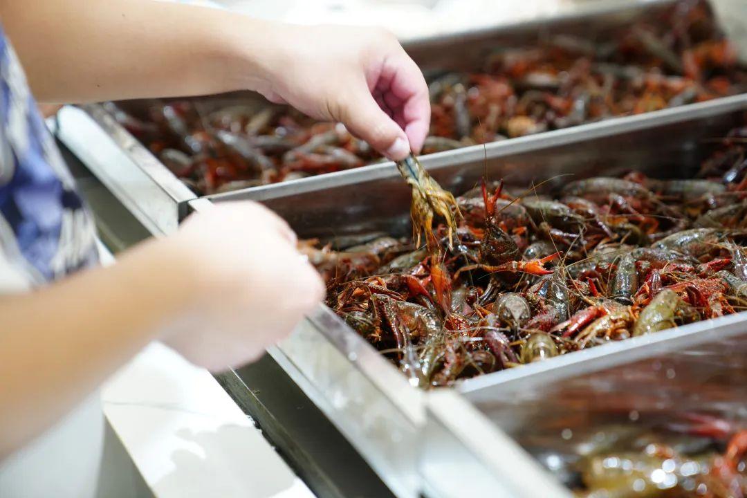 谊品生鲜app拉新(谊品生鲜到处裁人是不是生意不好)