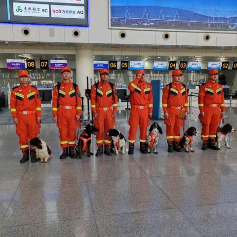 兰州市的吸狗场所在哪里