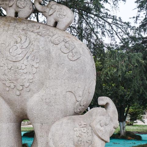 沈阳市哪个驾校能学a2