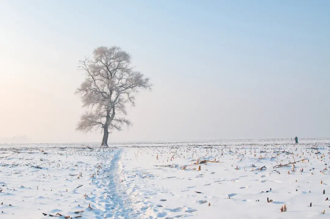 公众号怎么发布消息 公众号消息怎么删除